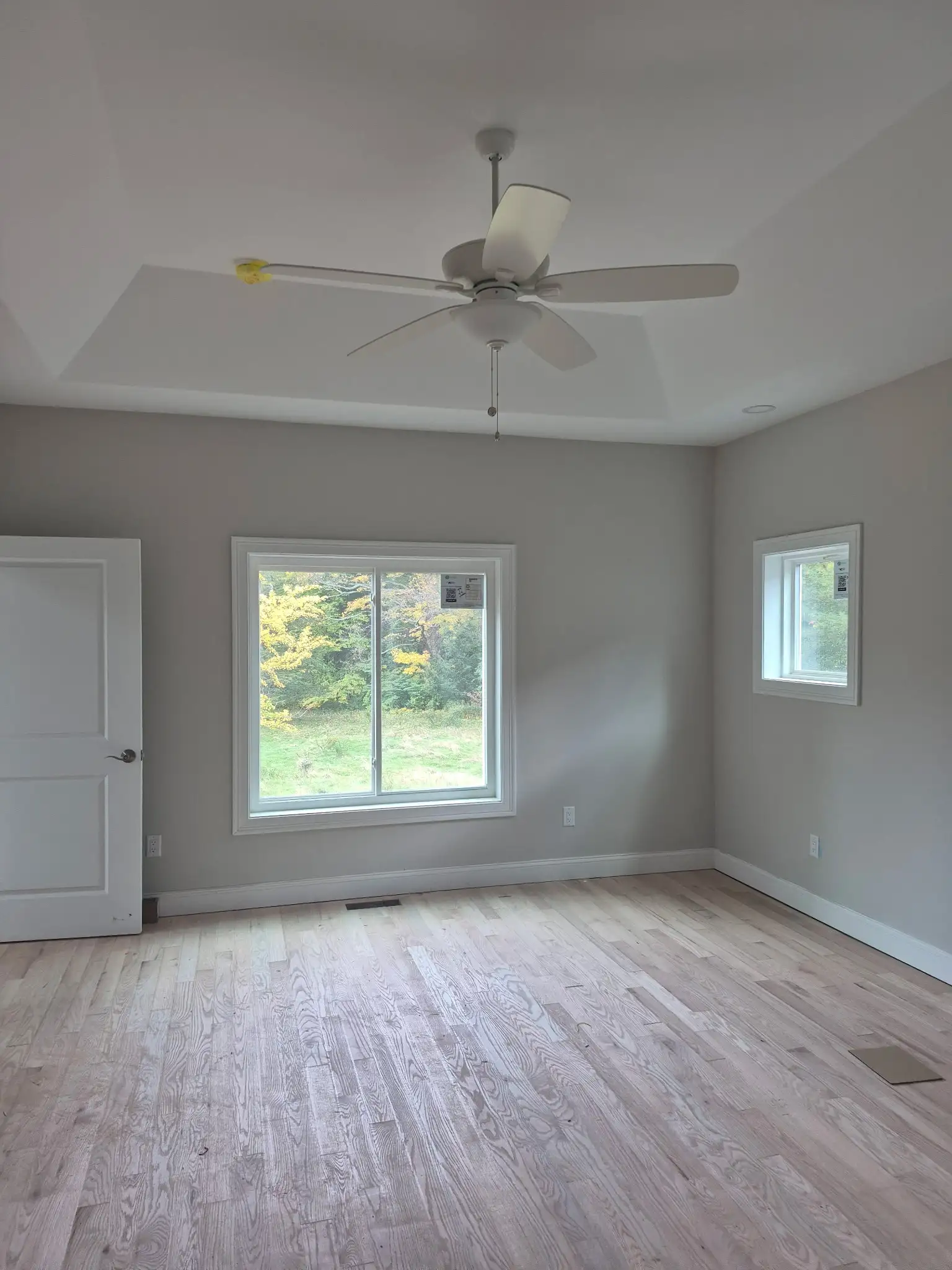 Bright bedroom with tray ceiling, white ceiling fan and large windows overlooking the backyard